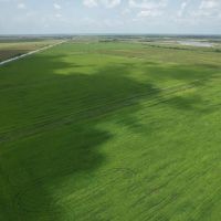 347 Acres- 0 FM 1410 Winnie TX 77665 images 5