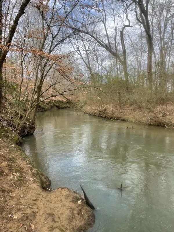 100ac. with Cane Creek Frontage featured image