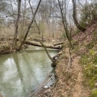 100ac. with Cane Creek Frontage images 2
