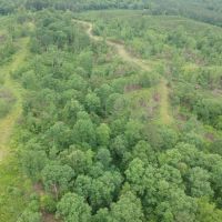 100ac. with Cane Creek Frontage images 3