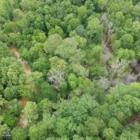 100ac. with Cane Creek Frontage images 4