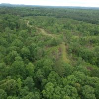 100ac. with Cane Creek Frontage images 5