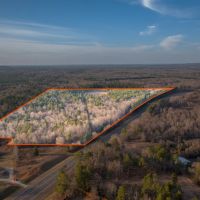 Hunting and Recreational Paradise in East Texas - Price Reduced images 1