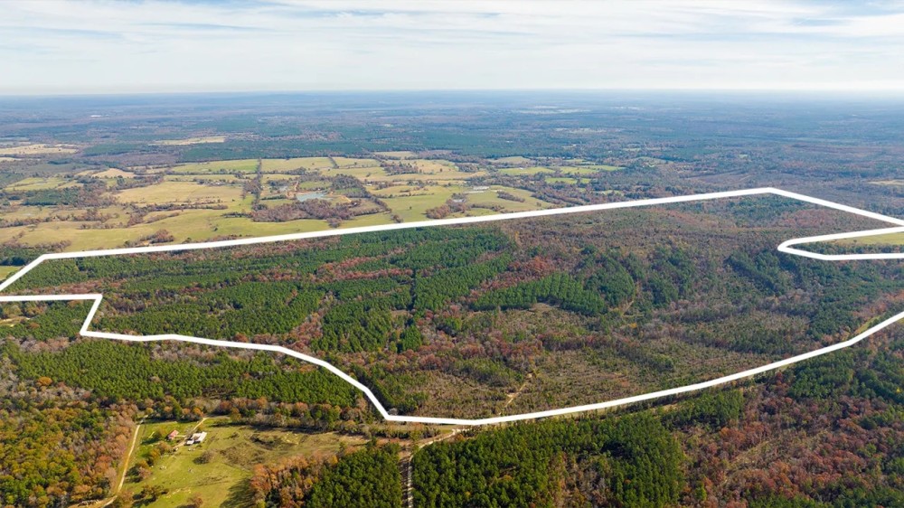Pineywoods Ranch 613 Hunting Land for Sale