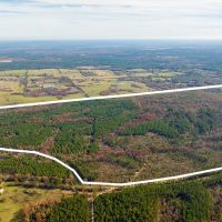 Pineywoods Ranch 613