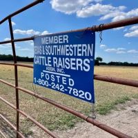 69.07 AC NW LAMAR COUNTY images 2