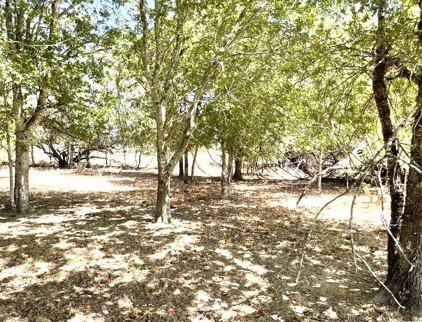 Lot 4 Turkeyfoot Ln featured image