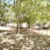Lot 4 Turkeyfoot Ln