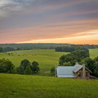 162 Acre Lookout Mountain Retreat images 3