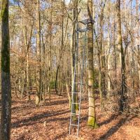 17 Acres County Road 1651 T-2 images 5