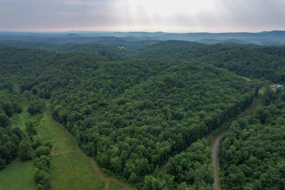 33.6 Acres in Patrick County Virginia featured image