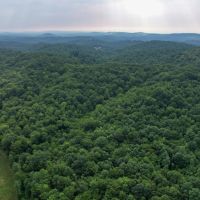33.6 Acres in Patrick County Virginia images 3