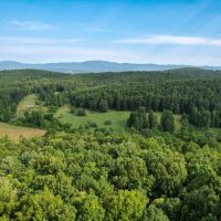 33.6 Acres in Patrick County Virginia images 5