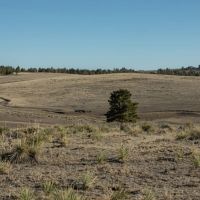 Ramah Ranch images 3