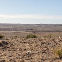 Ramah Ranch images 5