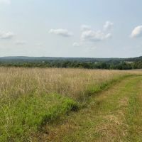 Cattle Hunting Recreation Ranch for Sale images 4