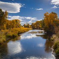 Shields River Lodge images 3