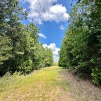 40 acres - in Chilton County images 2