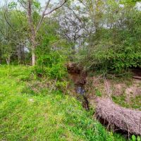 TBD FM 154 in Flatonia images 4
