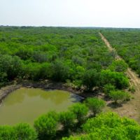 Coastal Bend Gateway Ranch images 5
