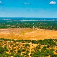 Carrizo Verde Ranch - Carrizo Springs TX images 2