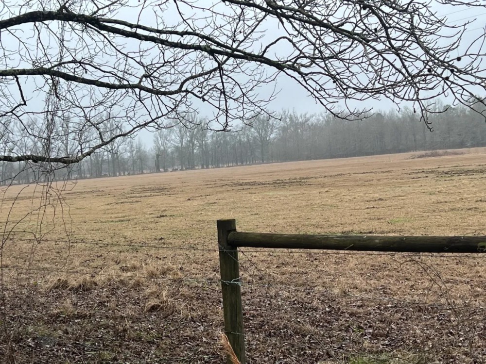 LA - Catahoula 95 acres - featured image