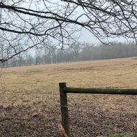 LA - Catahoula 95 acres -