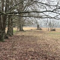 LA - Catahoula 95 acres - images 3