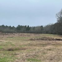 LA - Catahoula 95 acres - images 4