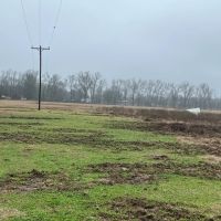 LA - Catahoula 95 acres - images 5