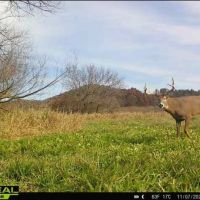 Unique Hunting Land for sale in Richland County WI images 2