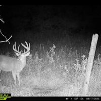 Unique Hunting Land for sale in Richland County WI images 4