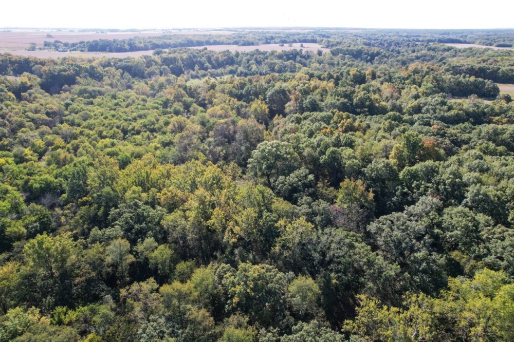 Bureau County Illinois 36 Acres For Sale featured image