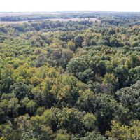 Bureau County Illinois 36 Acres For Sale
