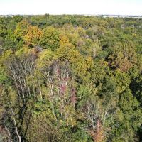 Bureau County Illinois 36 Acres For Sale images 4