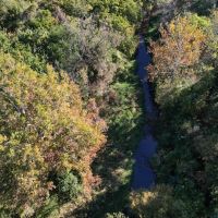 Bureau County Illinois 36 Acres For Sale images 5