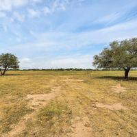 1329 Ilka Rd Seguin TX 78155 images 4