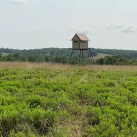 Ranch for Sale in the Ozarks images 5