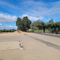 Kile Road Vineyards images 4