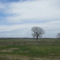 Bromide Y Spring Ranch images 2