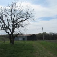 Bromide Y Spring Ranch images 3