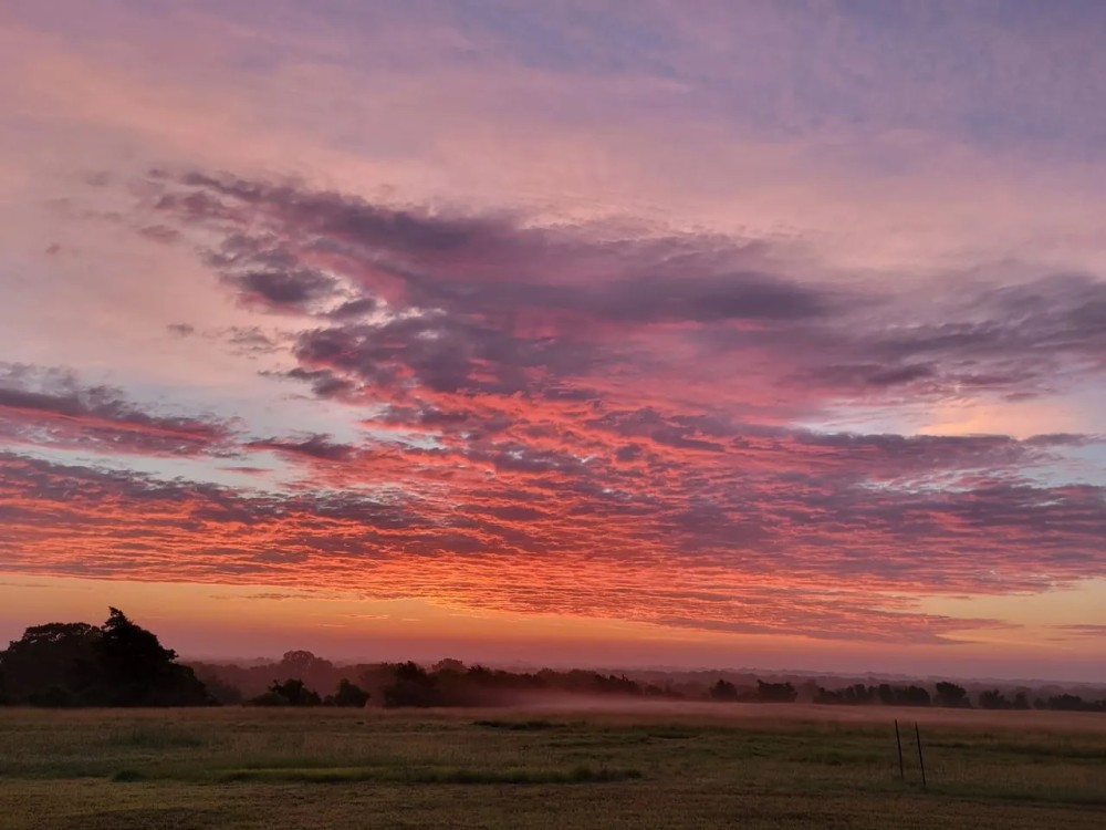 3521 Bryant Rd. in Schulenburg Texas featured image