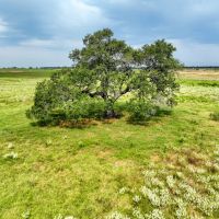 Floresville 10 images 3