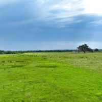 Floresville 10 images 4