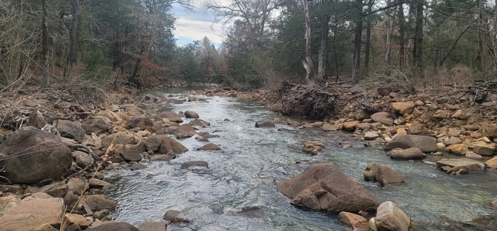 BUFFALO CREEK 160 WITH LEGAL ACCESS featured image