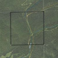 BUFFALO CREEK 160 WITH LEGAL ACCESS images 2