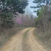 BUFFALO CREEK 160 WITH LEGAL ACCESS images 5