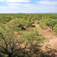 Lake Alan Henry 157