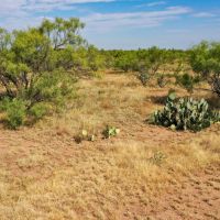 Lake Alan Henry 157 images 2