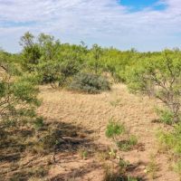 Lake Alan Henry 157 images 5